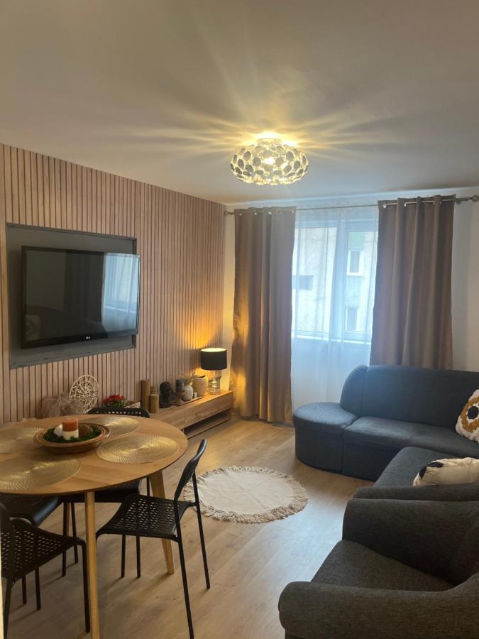 Roman Residence Apartment Borşa Екстериор снимка
