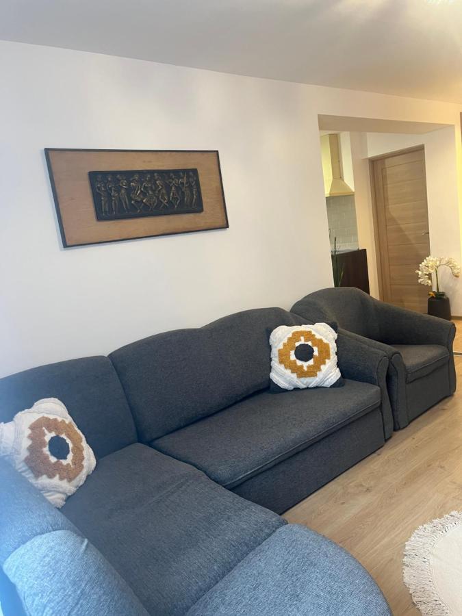 Roman Residence Apartment Borşa Екстериор снимка