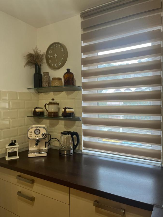 Roman Residence Apartment Borşa Екстериор снимка