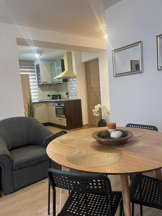 Roman Residence Apartment Borşa Екстериор снимка