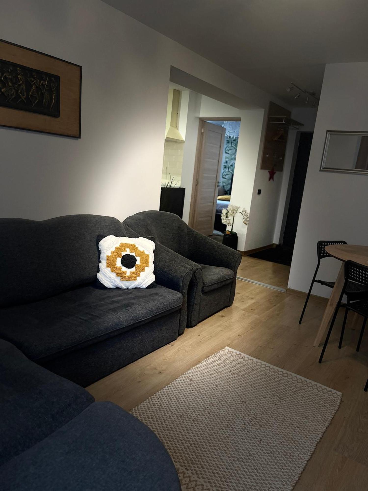 Roman Residence Apartment Borşa Екстериор снимка