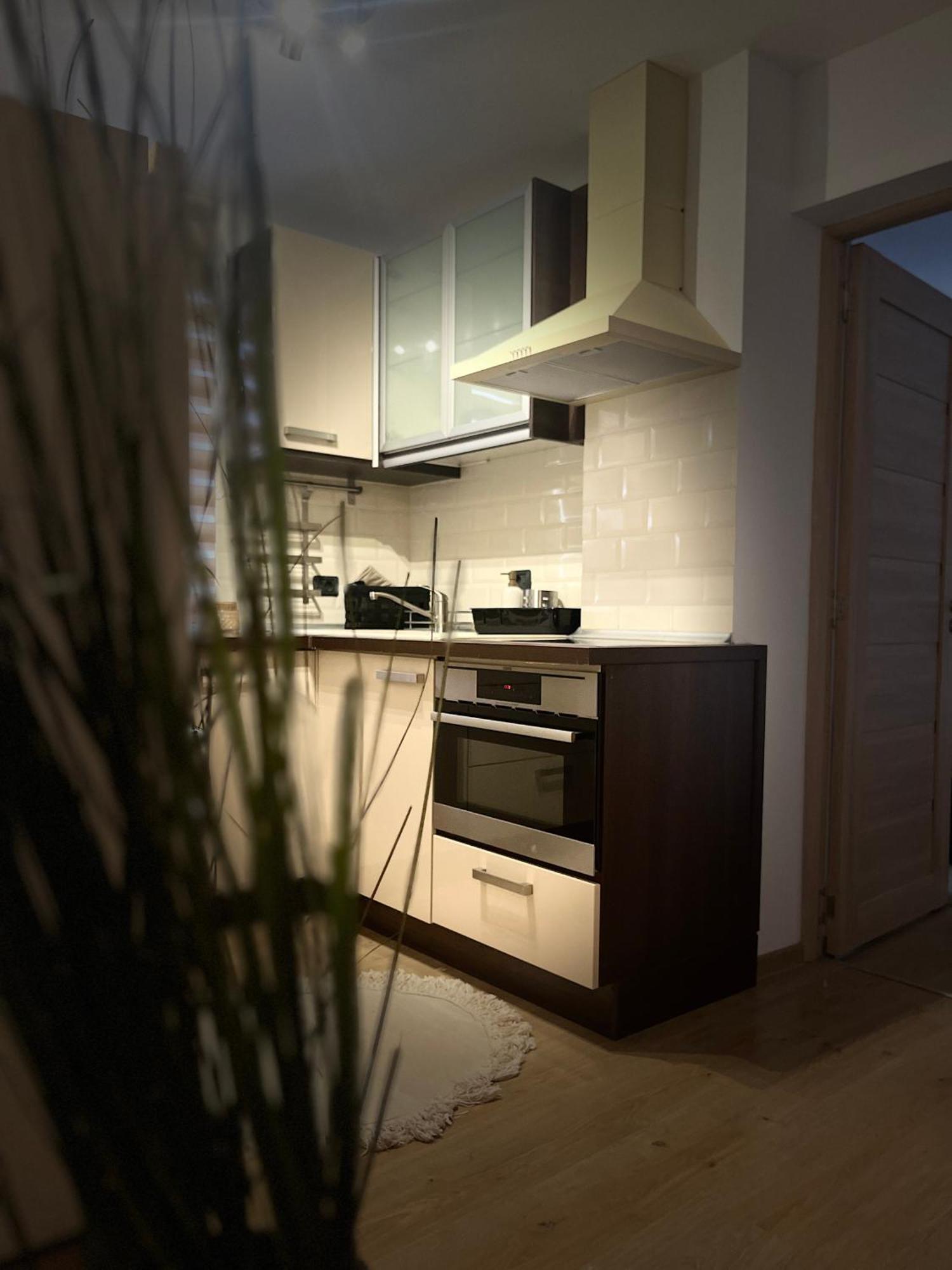 Roman Residence Apartment Borşa Екстериор снимка