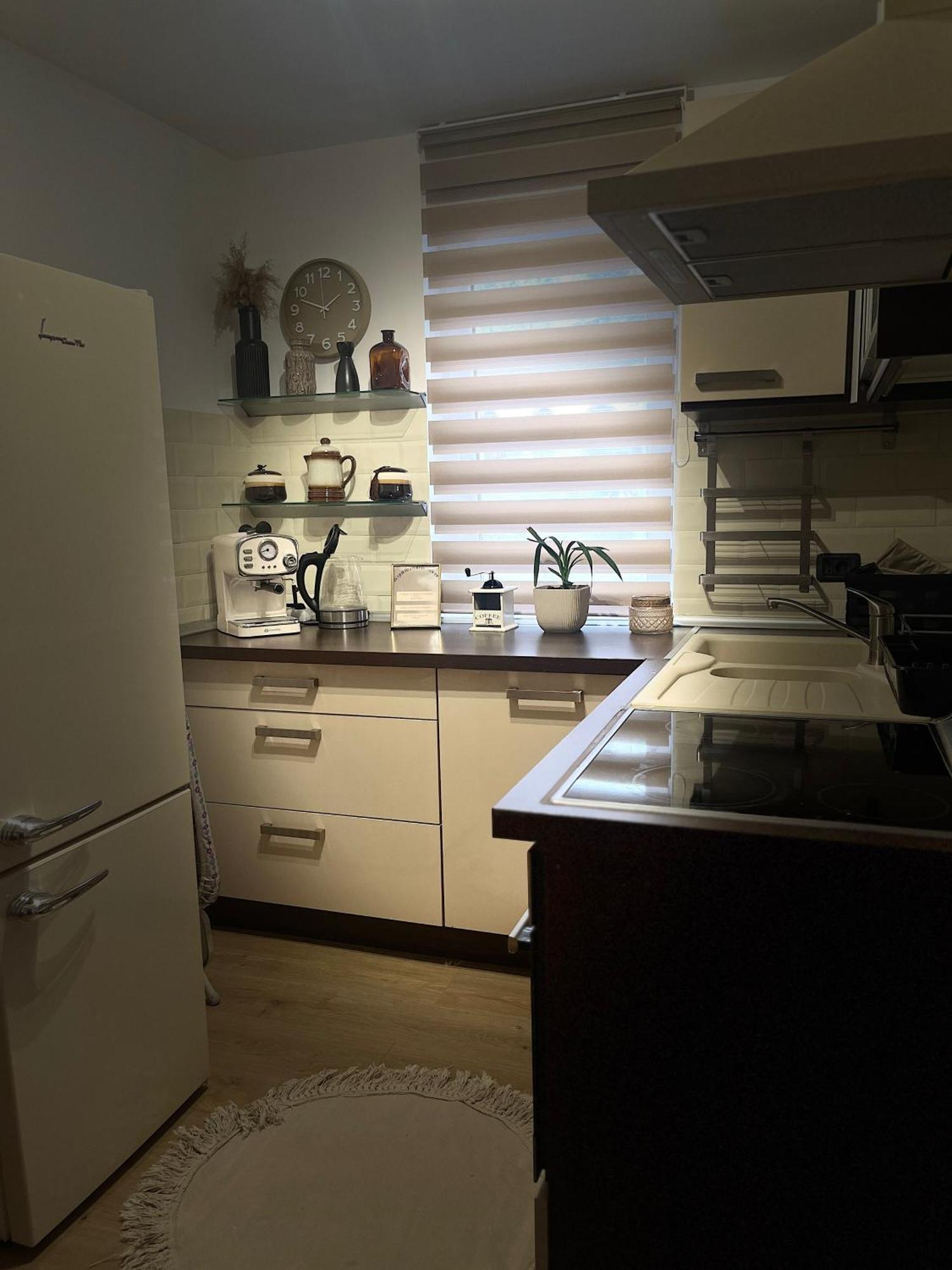 Roman Residence Apartment Borşa Екстериор снимка