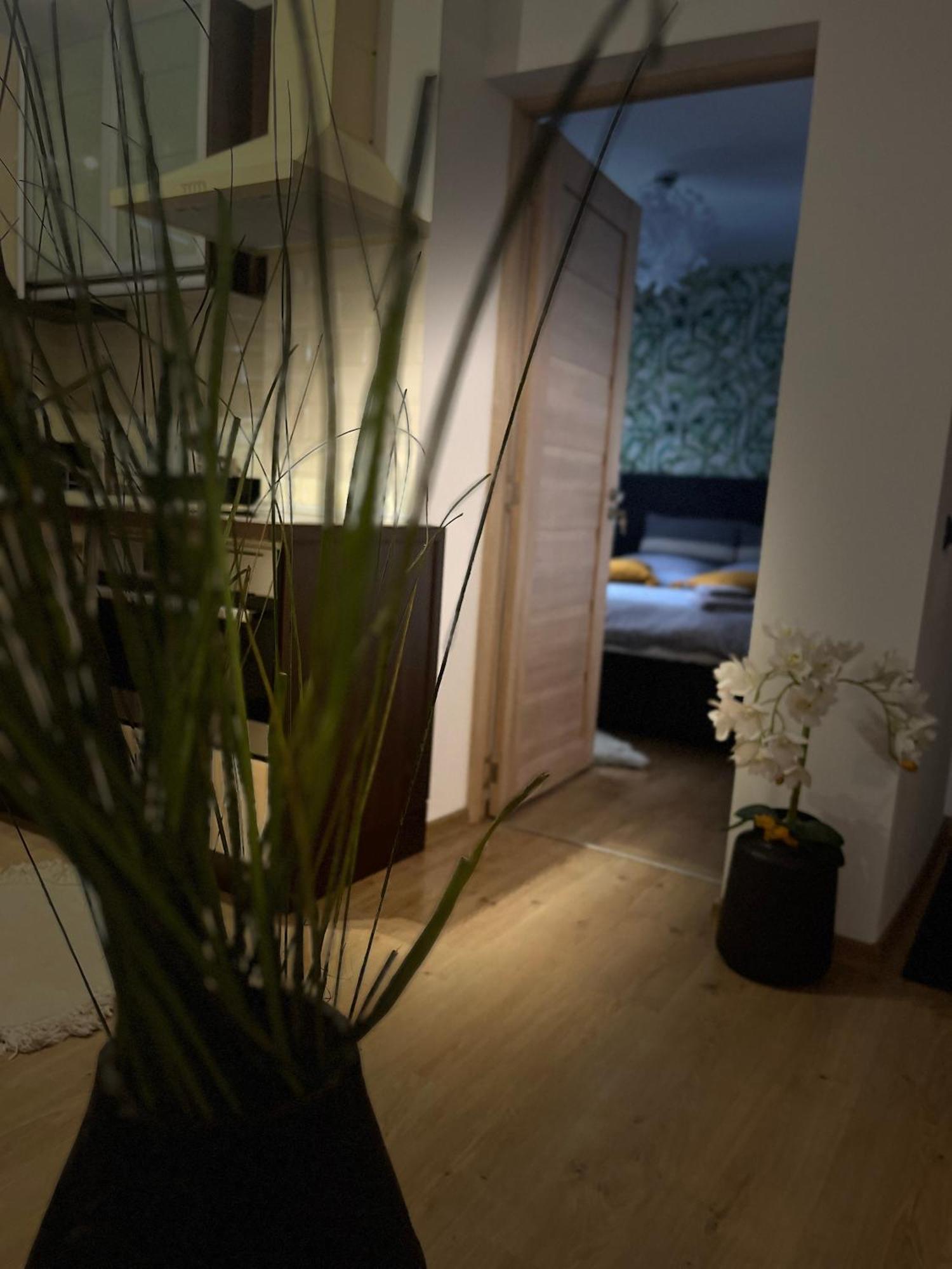 Roman Residence Apartment Borşa Екстериор снимка