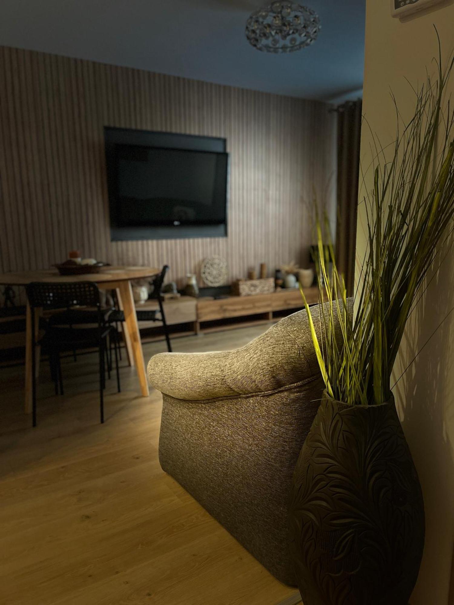 Roman Residence Apartment Borşa Екстериор снимка